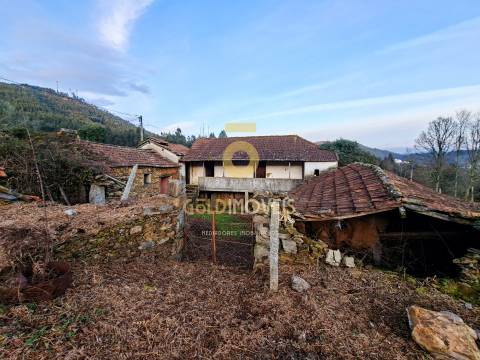 Quintinha T3 Venda em Santa Maria de Sardoura,Castelo de Paiva