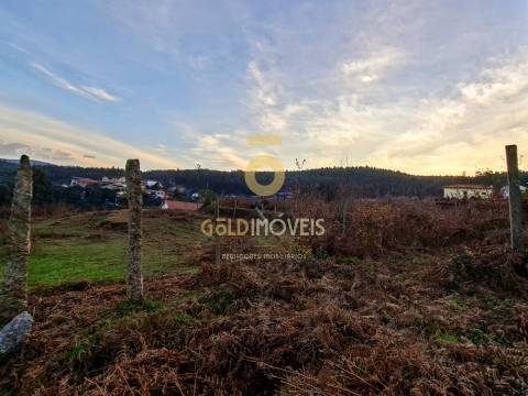 Quintinha T3 Venda em Santa Maria de Sardoura,Castelo de Paiva