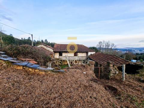Quintinha T3 Venda em Santa Maria de Sardoura,Castelo de Paiva