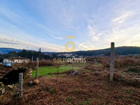 Quintinha T3 Venda em Santa Maria de Sardoura,Castelo de Paiva