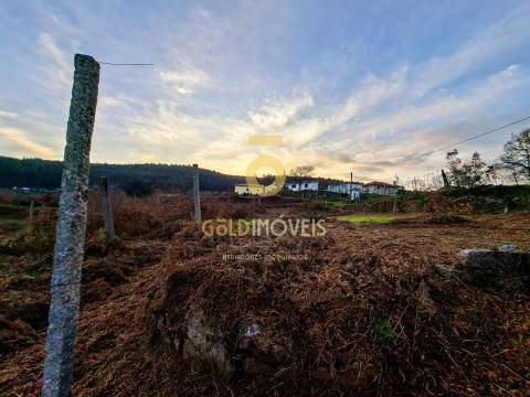 Quintinha T3 Venda em Santa Maria de Sardoura,Castelo de Paiva