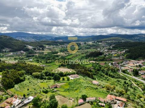 Quintinha T3 Venda em Santa Maria de Sardoura,Castelo de Paiva
