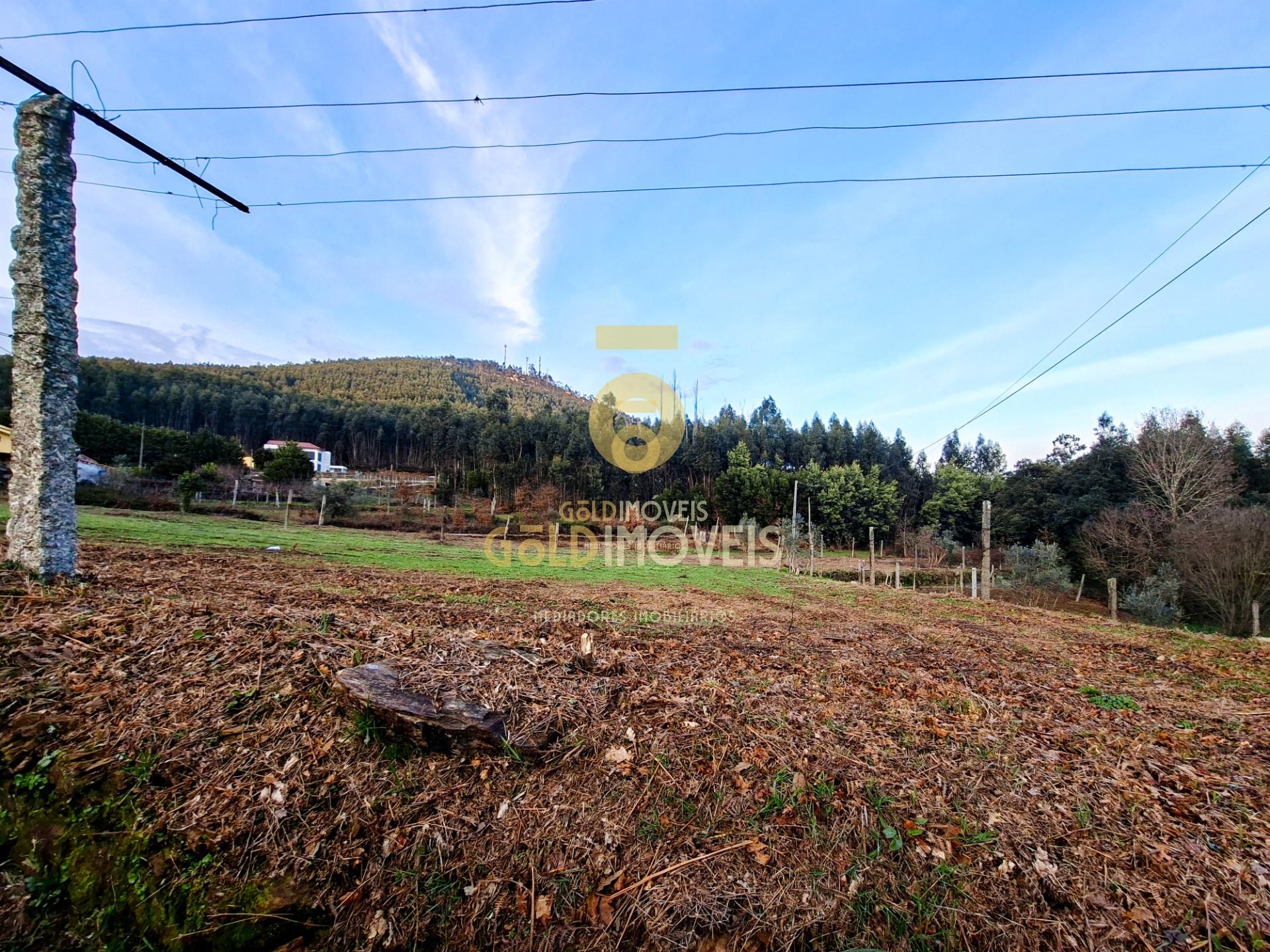 Quintinha T3 Venda em Santa Maria de Sardoura,Castelo de Paiva