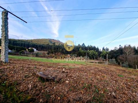 Quintinha T3 Venda em Santa Maria de Sardoura,Castelo de Paiva
