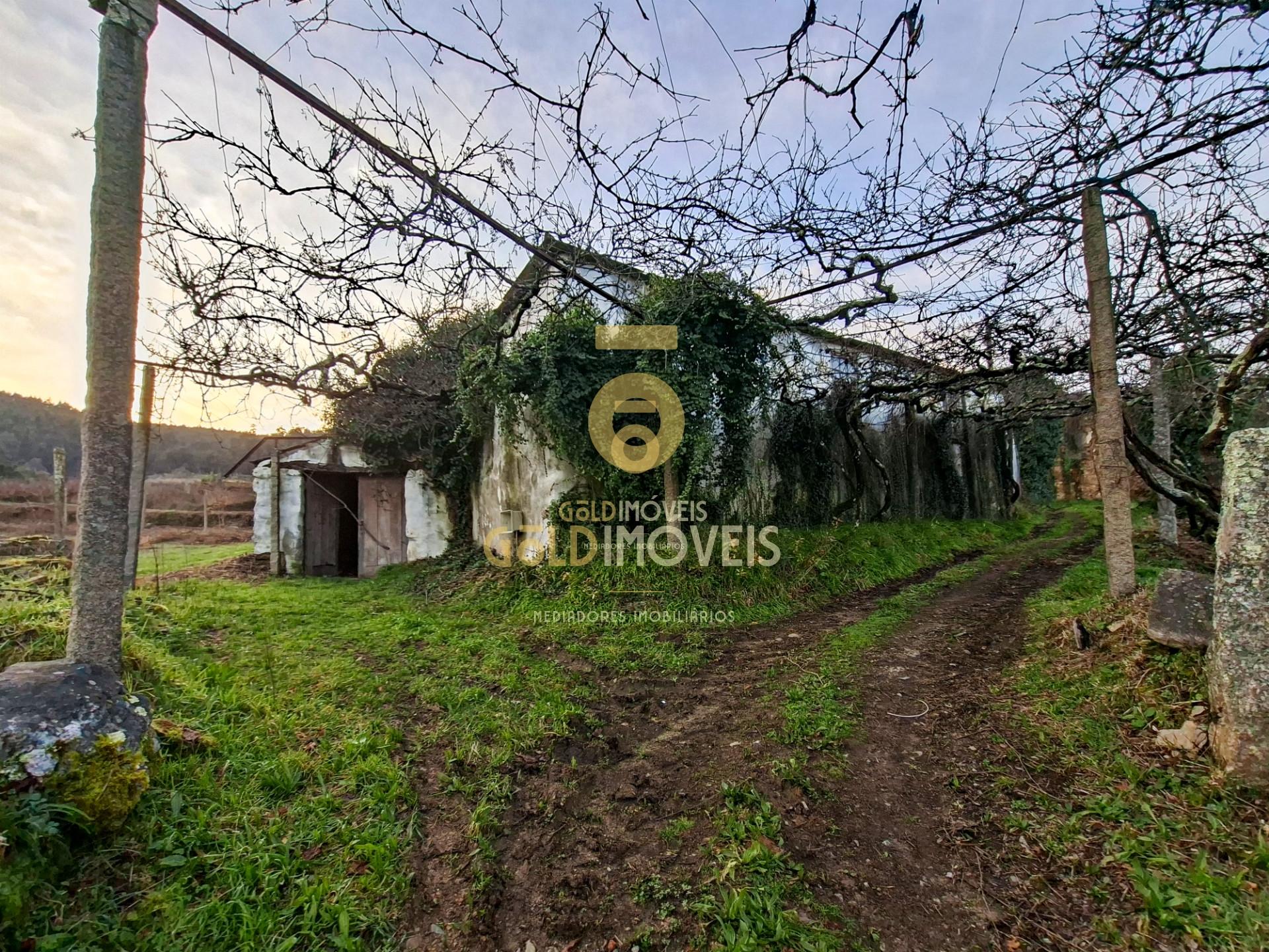 Quintinha T3 Venda em Santa Maria de Sardoura,Castelo de Paiva