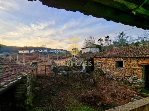 Quintinha T3 Venda em Santa Maria de Sardoura,Castelo de Paiva