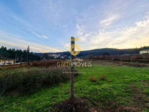 Quintinha T3 Venda em Santa Maria de Sardoura,Castelo de Paiva