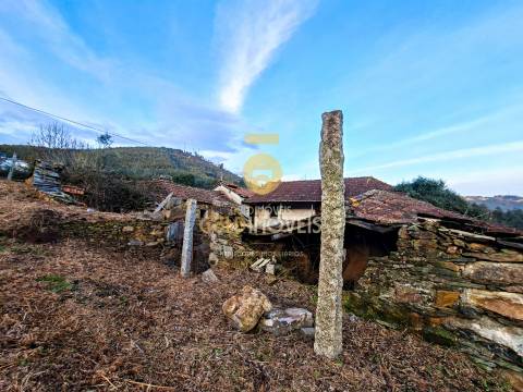Quintinha T3 Venda em Santa Maria de Sardoura,Castelo de Paiva