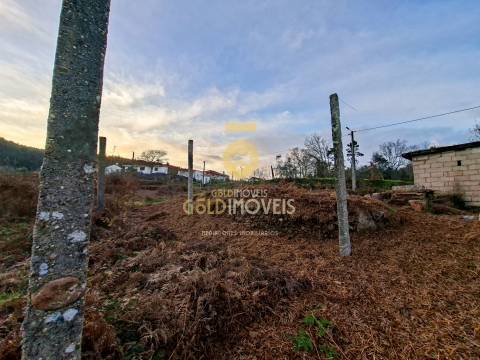 Quintinha T3 Venda em Santa Maria de Sardoura,Castelo de Paiva