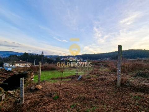 Quintinha T3 Venda em Santa Maria de Sardoura,Castelo de Paiva
