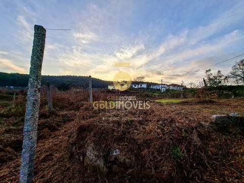 Quintinha T3 Venda em Santa Maria de Sardoura,Castelo de Paiva