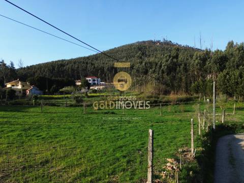 Quintinha T3 Venda em Santa Maria de Sardoura,Castelo de Paiva