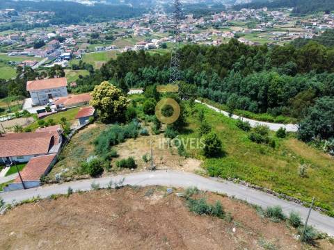 Terreno Rústico  Venda em Carregosa,Oliveira de Azeméis