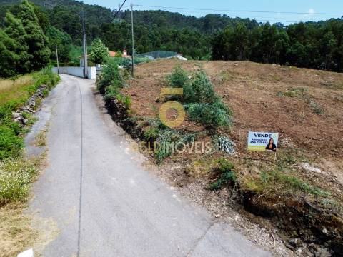 Terreno Rústico  Venda em Carregosa,Oliveira de Azeméis