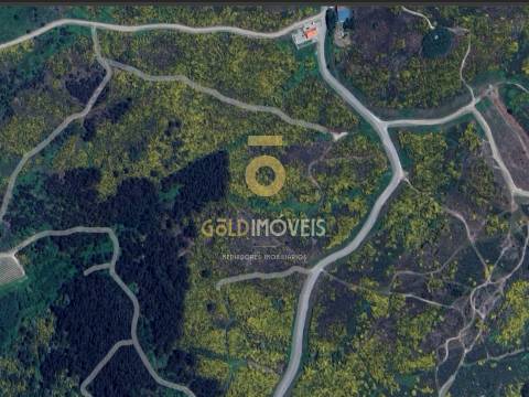 Terreno Rústico  Venda em Banho e Carvalhosa,Marco de Canaveses