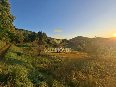 Terreno  Venda em Real,Castelo de Paiva
