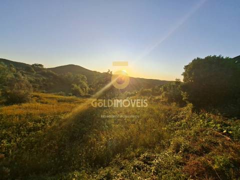 Terreno  Venda em Real,Castelo de Paiva