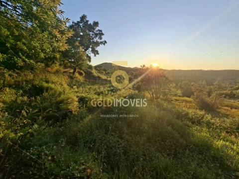 Terreno  Venda em Real,Castelo de Paiva