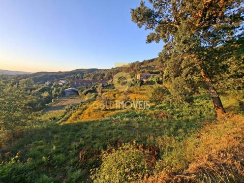 Terreno  Venda em Real,Castelo de Paiva