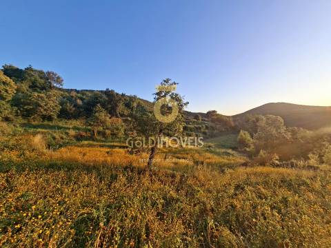 Terreno  Venda em Real,Castelo de Paiva