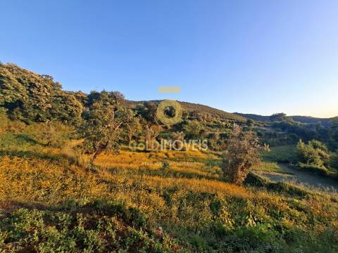 Terreno  Venda em Real,Castelo de Paiva