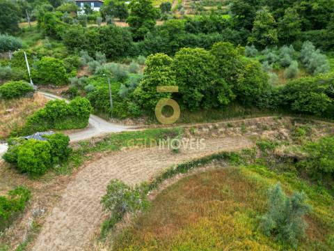 Terreno  Venda em Real,Castelo de Paiva
