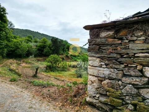 Terreno  Venda em Real,Castelo de Paiva