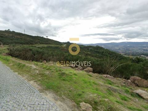 Terreno Rústico  Venda em Banho e Carvalhosa,Marco de Canaveses