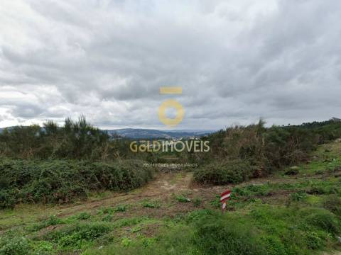 Terreno Rústico  Venda em Banho e Carvalhosa,Marco de Canaveses