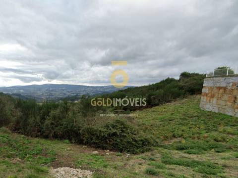Terreno Rústico  Venda em Banho e Carvalhosa,Marco de Canaveses