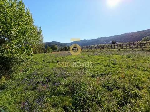 Terreno Rústico  Venda em Luzim e Vila Cova,Penafiel
