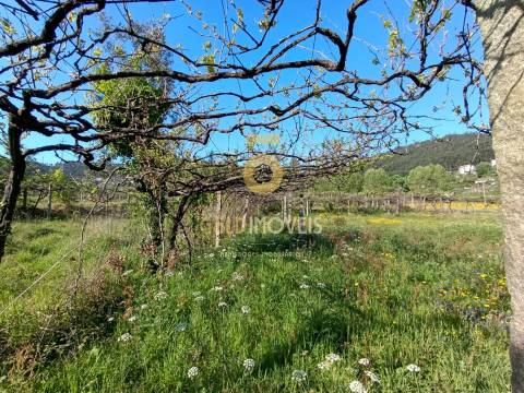 Terreno Rústico  Venda em Luzim e Vila Cova,Penafiel