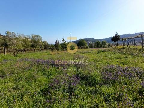 Terreno Rústico  Venda em Luzim e Vila Cova,Penafiel