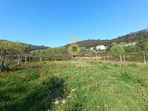 Terreno Rústico  Venda em Luzim e Vila Cova,Penafiel