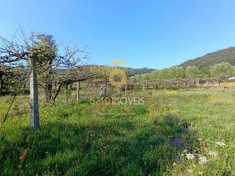 Terreno Rústico  Venda em Luzim e Vila Cova,Penafiel