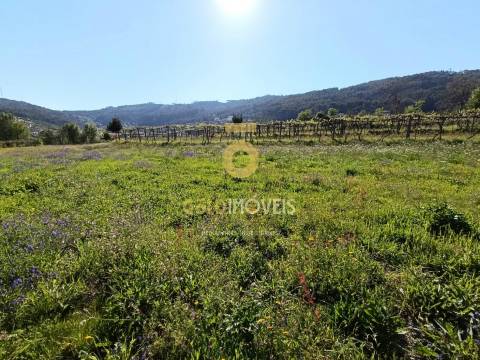 Terreno Rústico  Venda em Luzim e Vila Cova,Penafiel