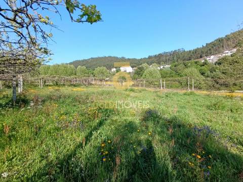 Terreno Rústico  Venda em Luzim e Vila Cova,Penafiel