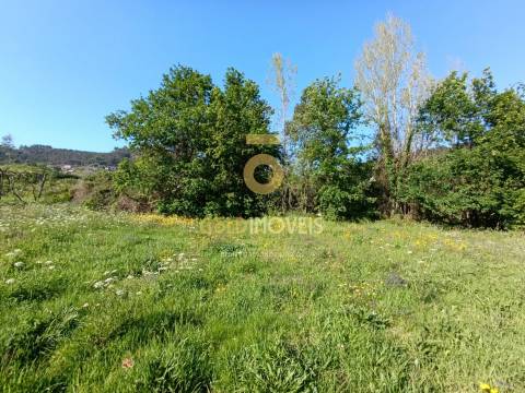 Terreno Rústico  Venda em Luzim e Vila Cova,Penafiel