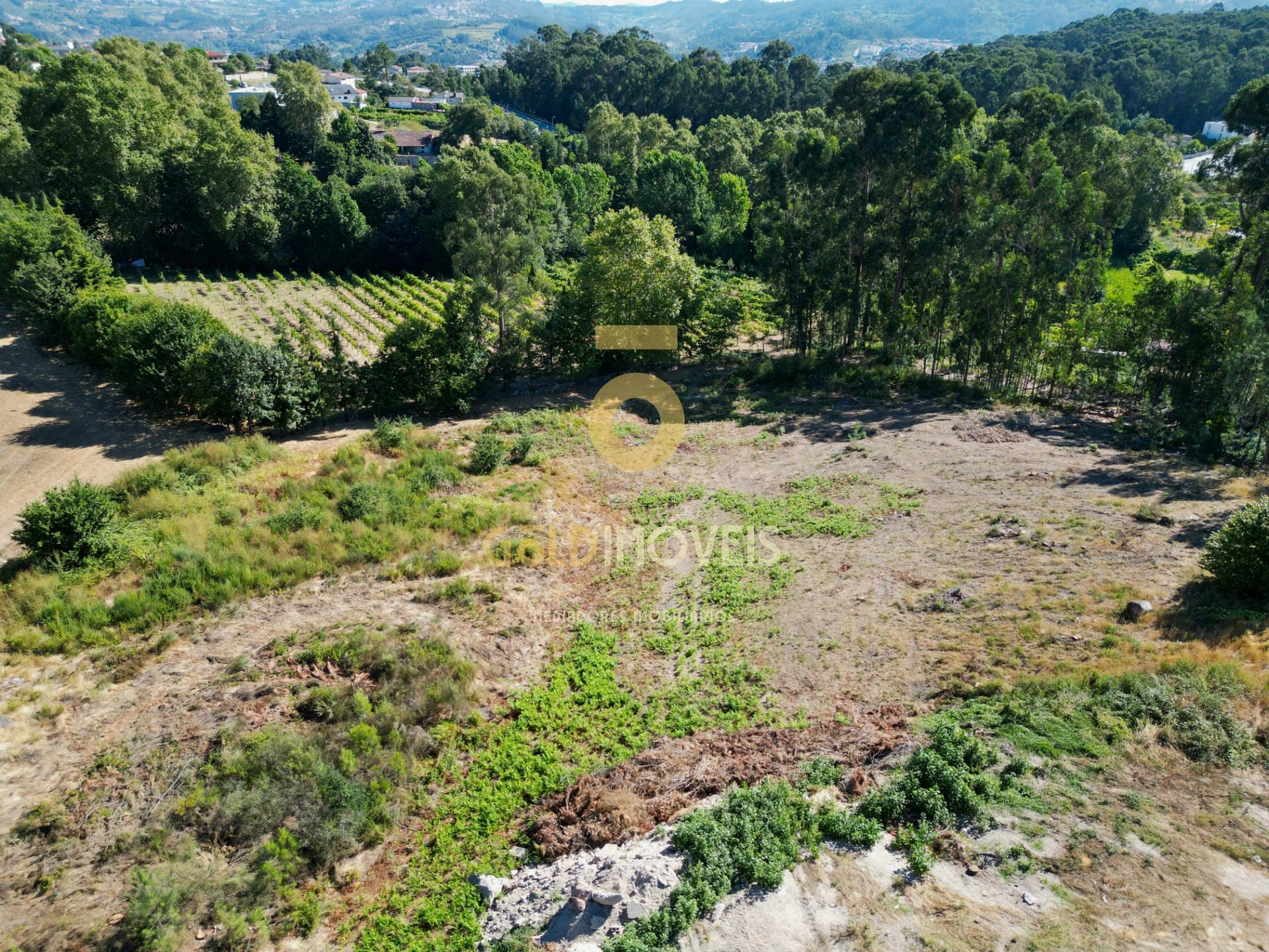 Terreno  Venda em Recezinhos (São Mamede),Penafiel