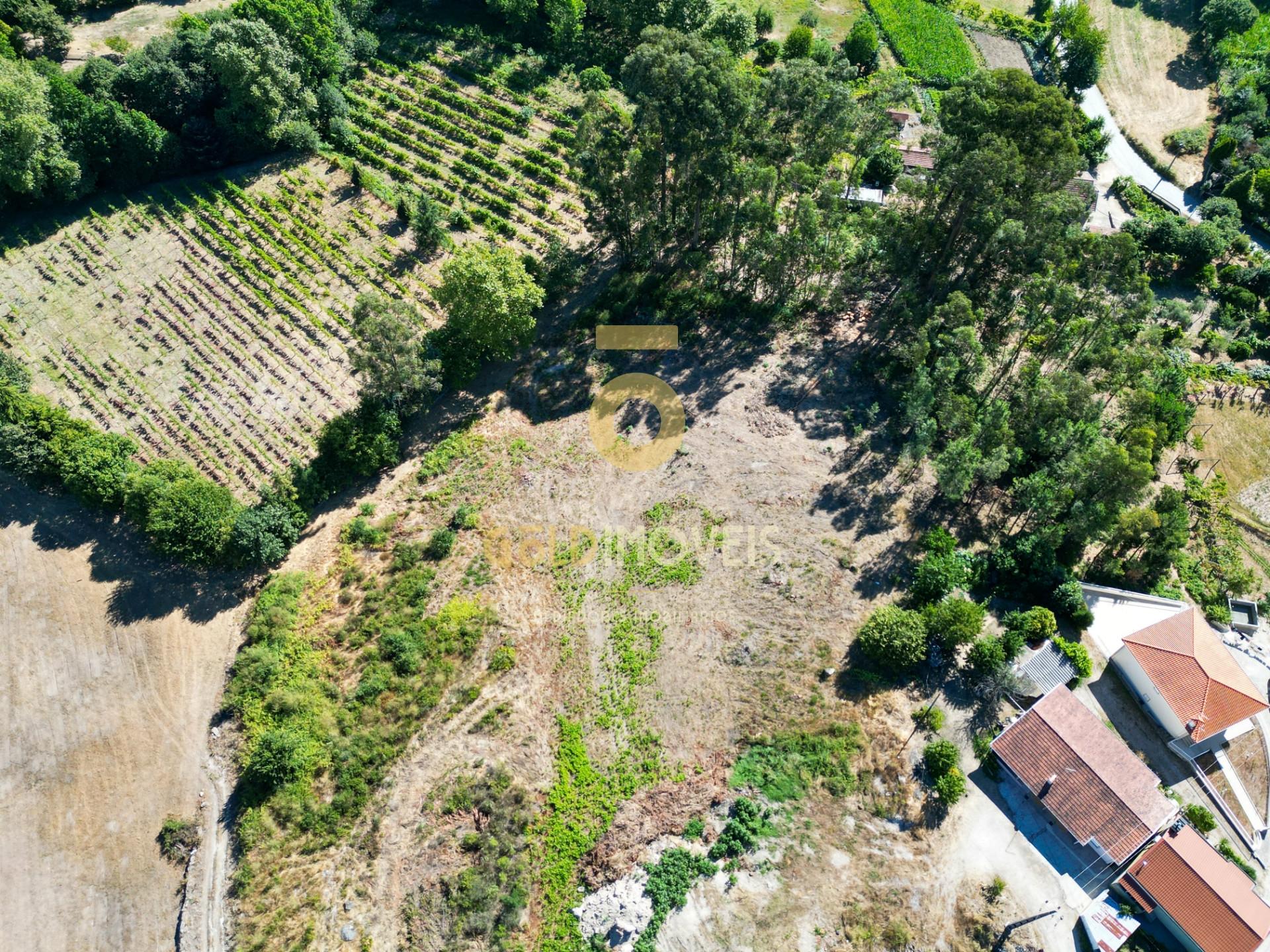 Terreno  Venda em Recezinhos (São Mamede),Penafiel