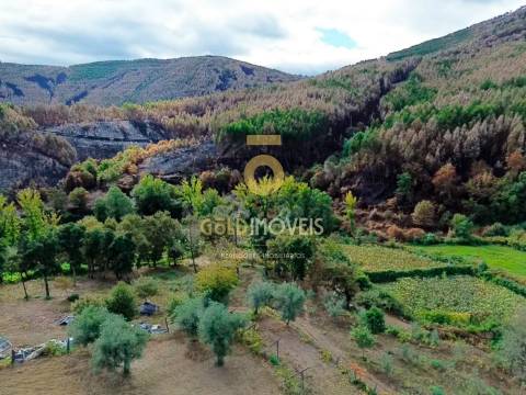 Terreno Para Construção  Venda em Canelas e Espiunca,Arouca