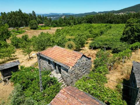 Quinta T4 Venda em Fornelos,Cinfães