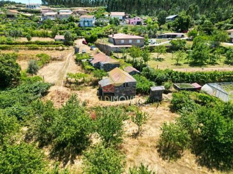 Quinta T4 Venda em Fornelos,Cinfães