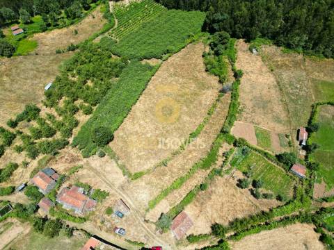 Quinta T4 Venda em Fornelos,Cinfães