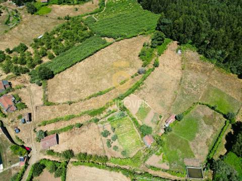 Quinta T4 Venda em Fornelos,Cinfães