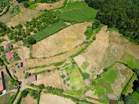Quinta T4 Venda em Fornelos,Cinfães
