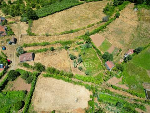 Quinta T4 Venda em Fornelos,Cinfães