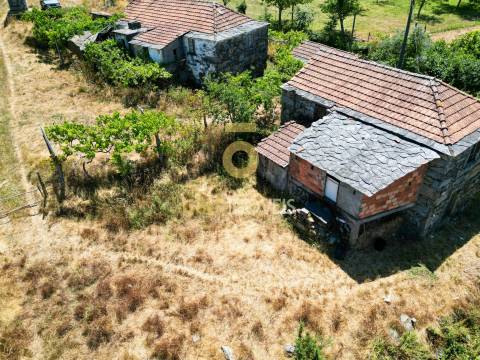 Quinta T4 Venda em Fornelos,Cinfães