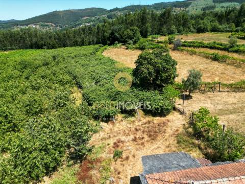 Quinta T4 Venda em Fornelos,Cinfães