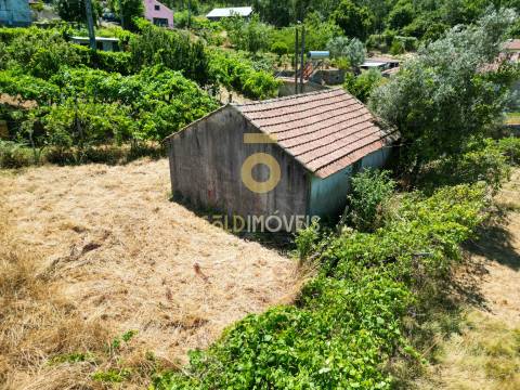 Quinta T4 Venda em Fornelos,Cinfães